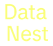 Data Nest Logo